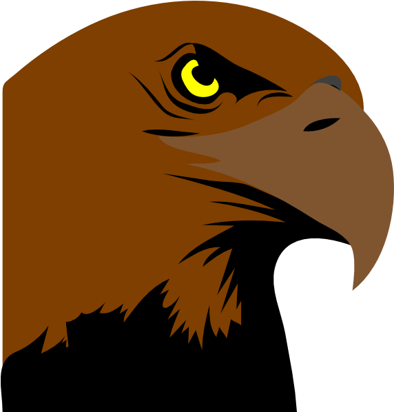 Blue Eagle (600x597)