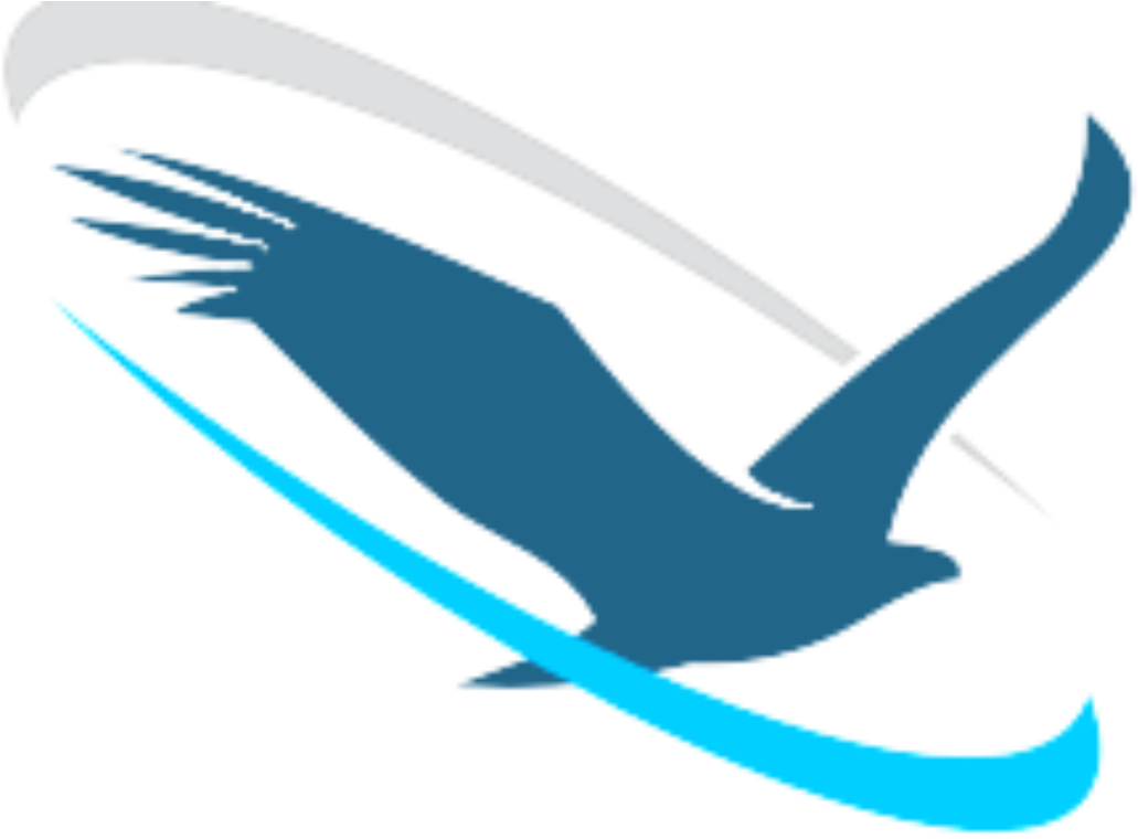 Soaring Eagle Network, Inc. (1260x771)