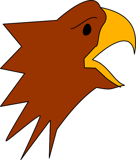 Head, Simple, Cartoon, Eagle, Style, Art, Beak - Beak Cartoon (545x640)