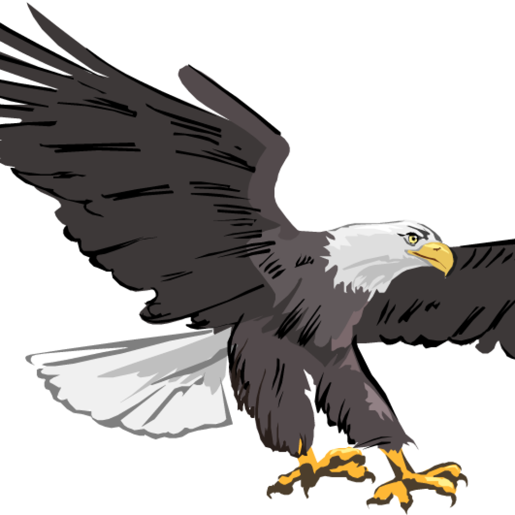 Eagle Clipart Bald Eagle Clipart Images Free Clipartix - Adler Clipart (1024x1024)