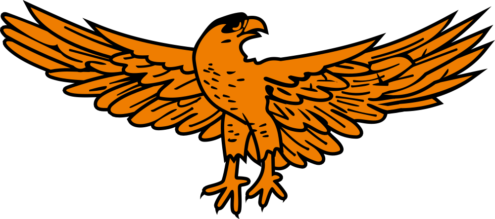Golden Eagle - Eagle On Zambian Flag (1687x750)