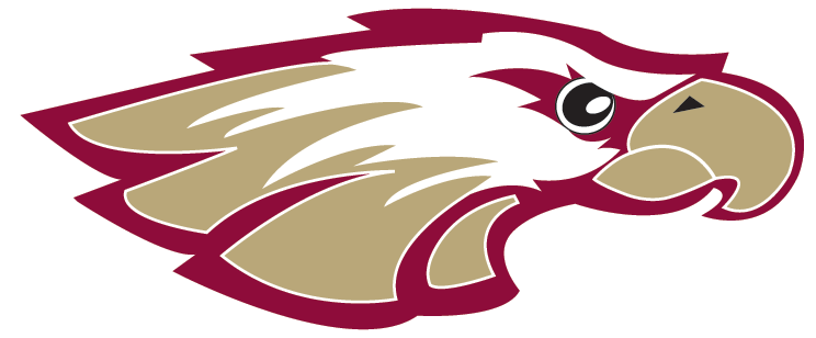 Robert Morris University Logo Robert Morris University - Robert Morris University Hockey Logo (744x308)