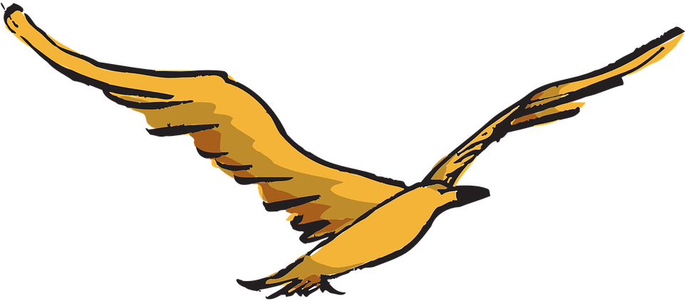 Bird, Flying, Wings, Art, Feathers, Fly - Flying Bird Clip Art (960x480)