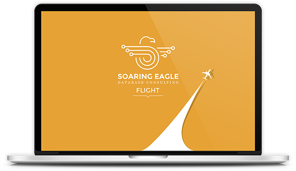 Flight Database Software - Database (596x345)