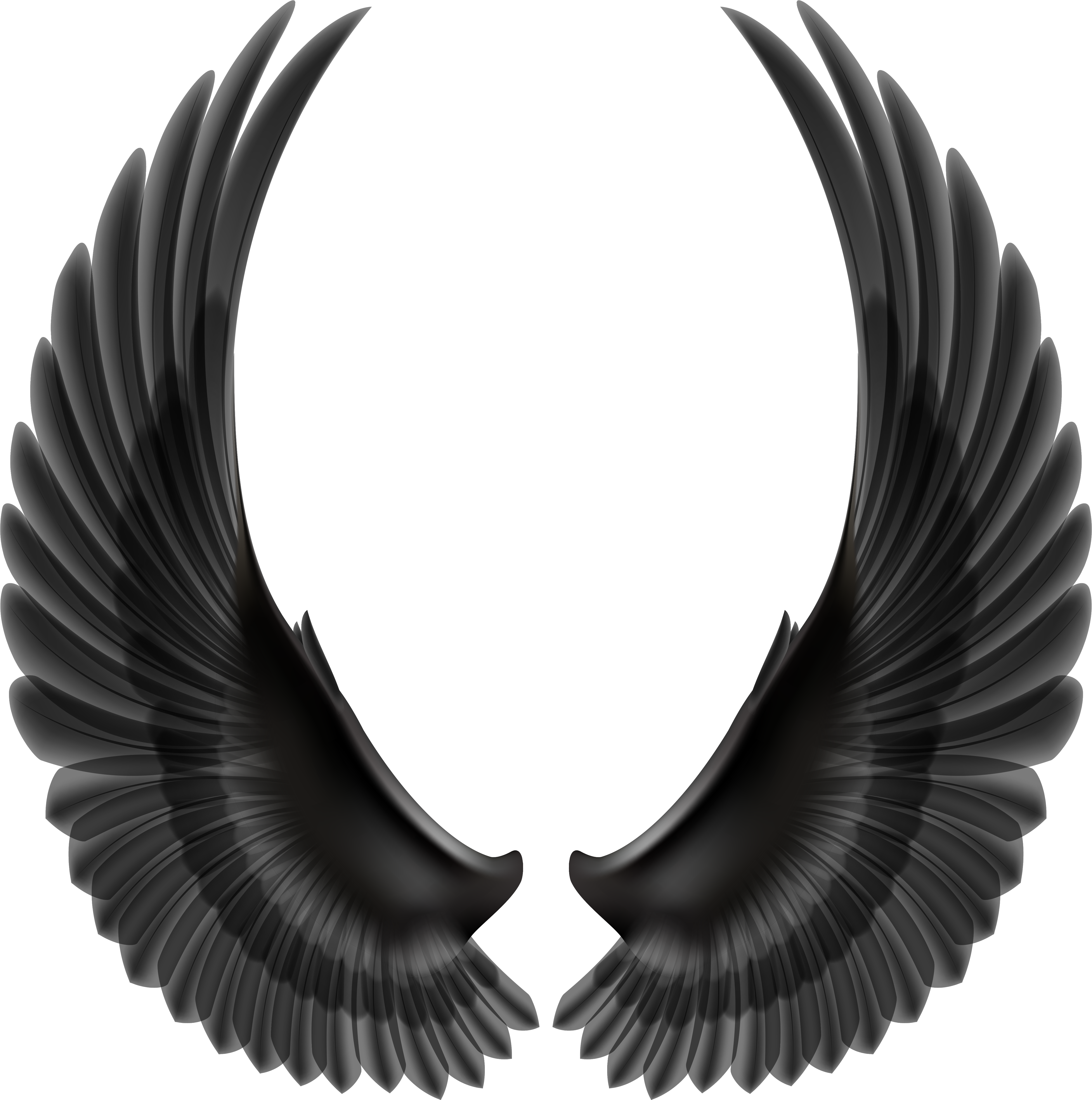 Black wings. Черные Крылья. Крылья для фотошопа. Крылья ангела для фотошопа. Чёрные Крылья на прозрачном фоне.
