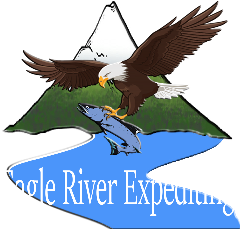 Logo 6 - Bald Eagle (1000x974)