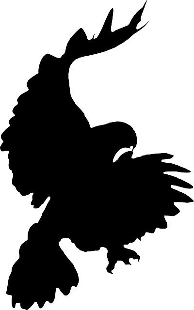 Silhouette, Cartoon, Eagle, Bird, Crow, Flying, Falcon - Hawk Silhouette Transparent (400x640)