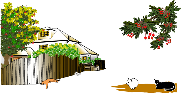 Summer At Romney House - Cat (617x317)