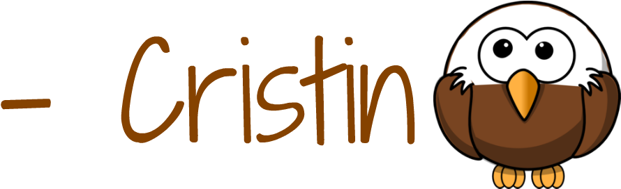 Boy Scout Blog Background For Today - Bald Eagle Round Ornament (1000x300)