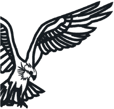 Harris Hawk Clipart Transparent - Harris's Hawk (400x400)