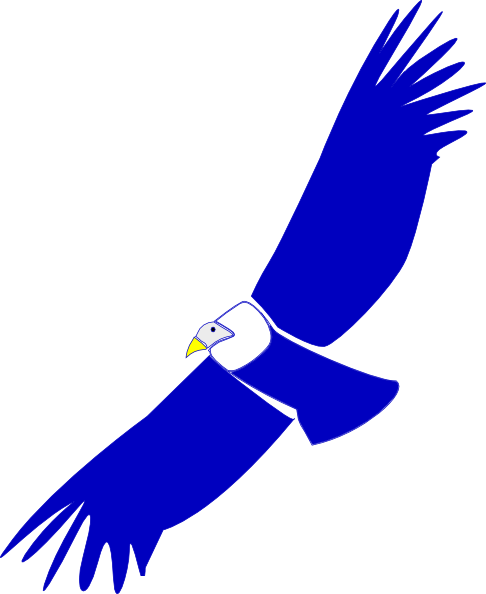 Blue Condor Clip Art - Condor Animado Png (486x594)