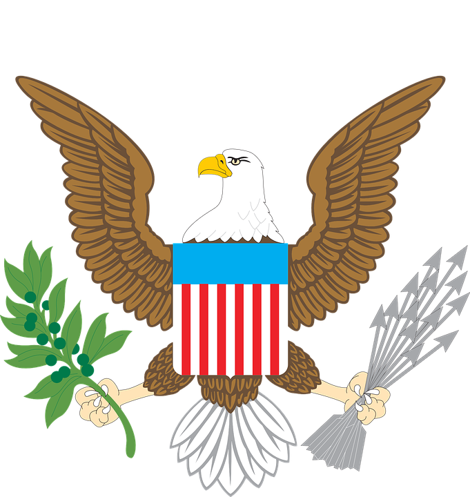 American Eagle Clip Art At Clker - American Bald Eagle Clip Art (681x720)
