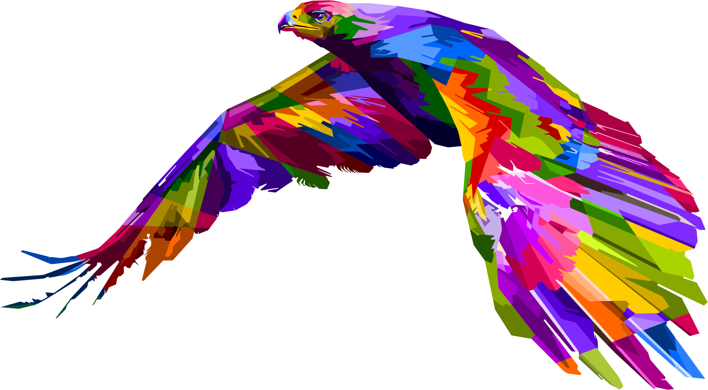 Big Image - Aguia Colorido Quadro (2345x1292)