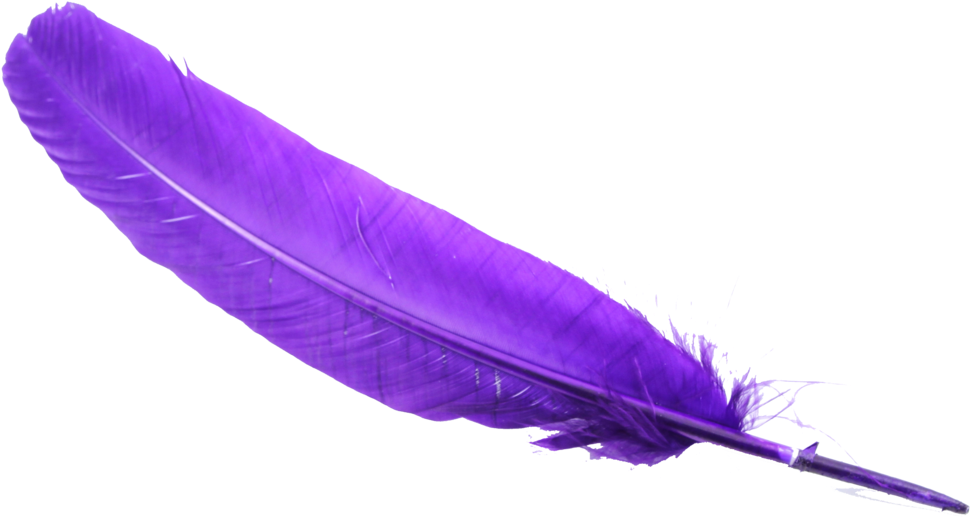Feather Png - Feather Purple Transeperent (1024x1024)