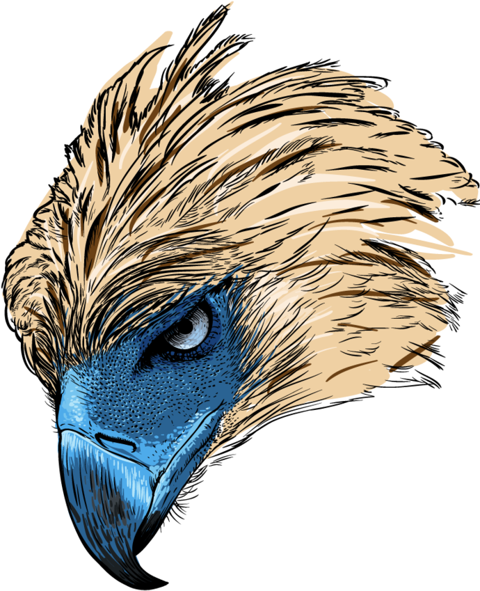 Philippine Eagle For Tshirt By Junver - Philippine Eagle Logo Png (803x996)