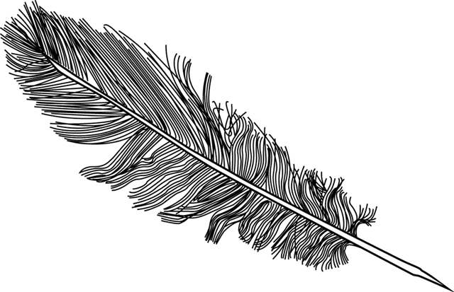 Vaizdo Rezultatas Pagal Užklausą - Feather Drawing Png Transparent (640x413)