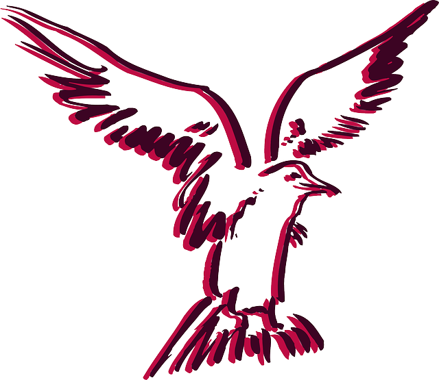 Outline, Bird, Flying, Style, Color, Art, Fly - Clip Art (640x555)