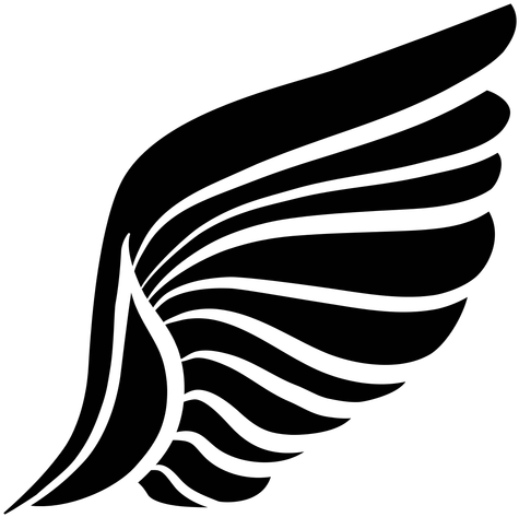 Angel Wings Illustration Pack With Feathers - Wing Vector Png (512x512)