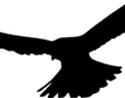 Kestrel Clipart Transparent - Kestrel (400x400)