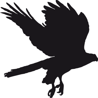 Eagle Silhouette Blackboard Sticker - Slate (374x375)