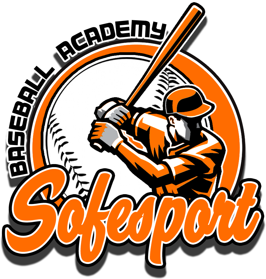 Resultado De Imagen Para Logos Baseball De Venezuela - Cafepress Baseball 3'x5' Area Rug (992x992)