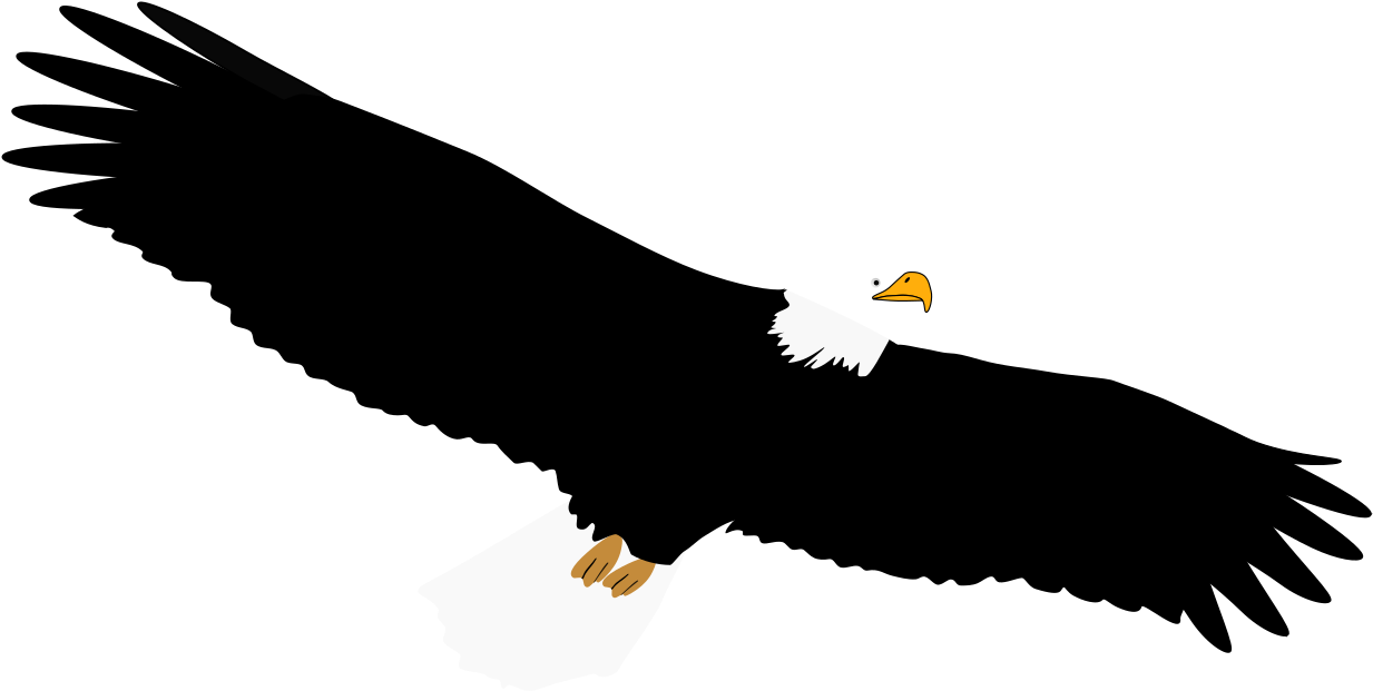 Eagle Feather Clip Art - Custom Soaring Bald Eagle Shower Curtain (1875x2500)
