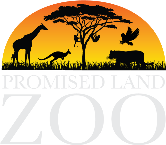 Eagle Rock Location - Silhouette (720x720)