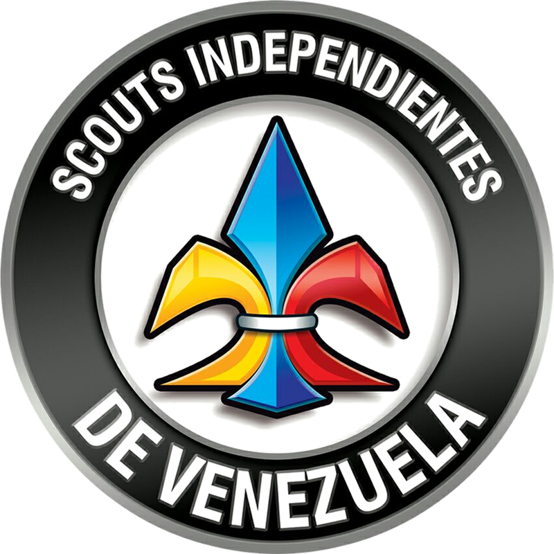 Simultaneous Courses For Young Bronze Arrow And Bronze - Philippine College Of Health Sciences (800x800)