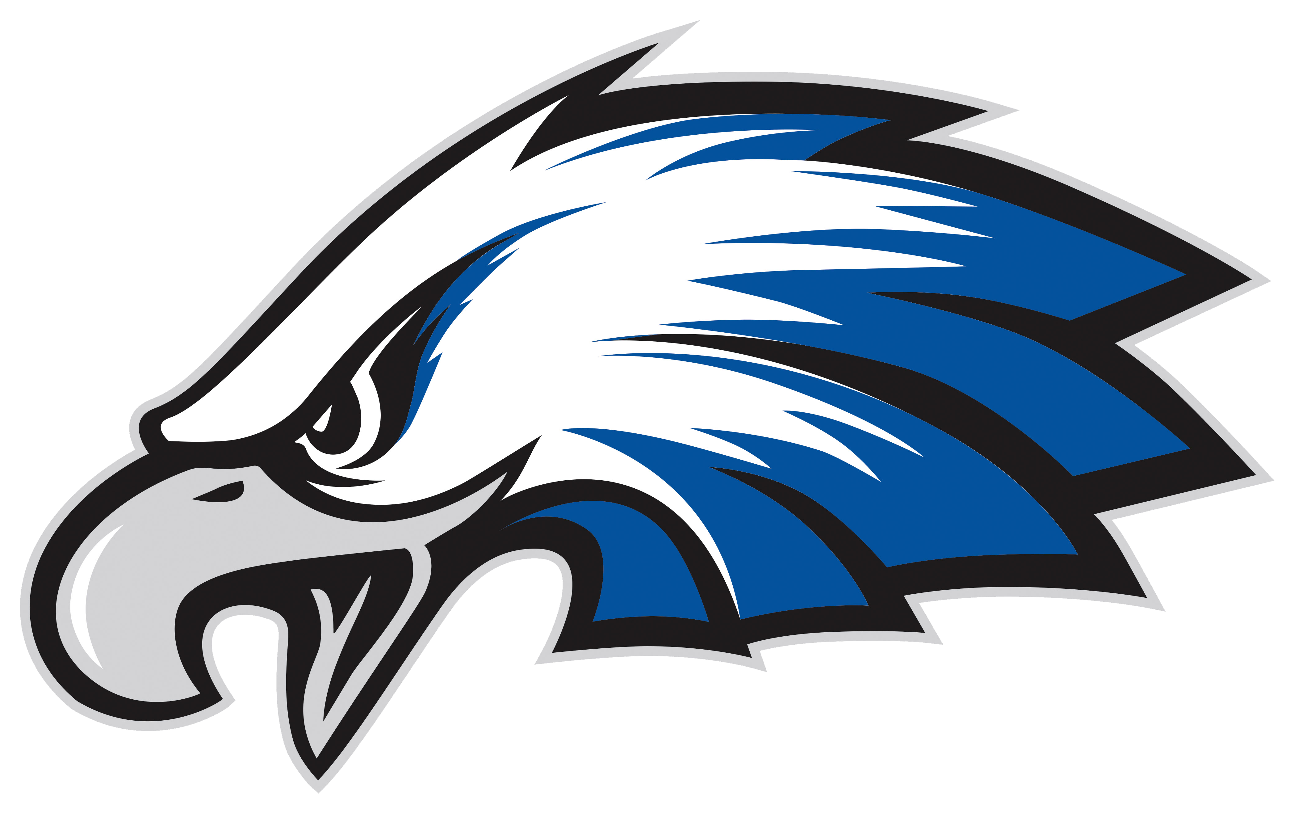 Lakeland Eagles - Lakeland High School Eagles (5000x3066)