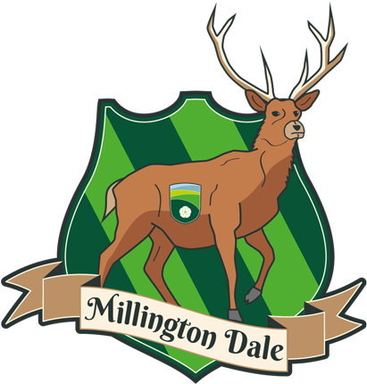 Our Pupils Are Very Proud Of Their Houses And We Hope - Cartoon (500x476)