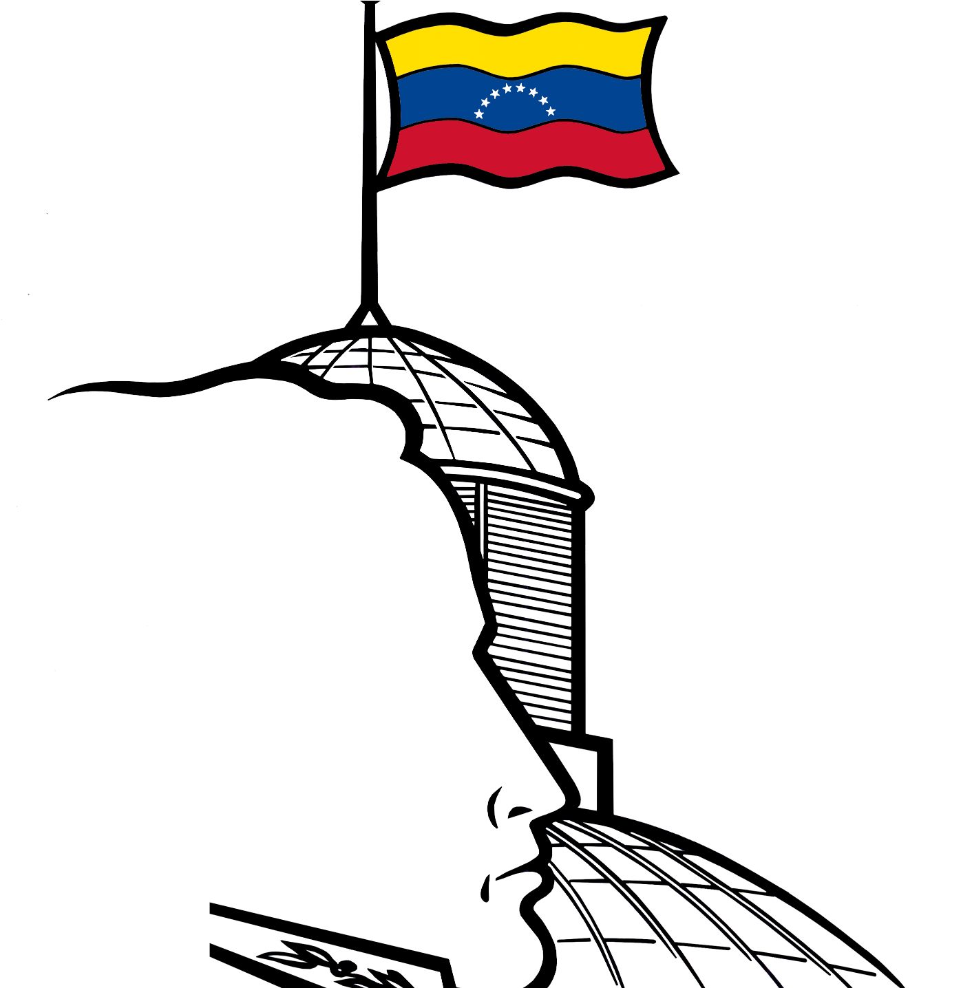 Composición De La Asamblea Nacional - Composición De La Asamblea Nacional (1435x1435)