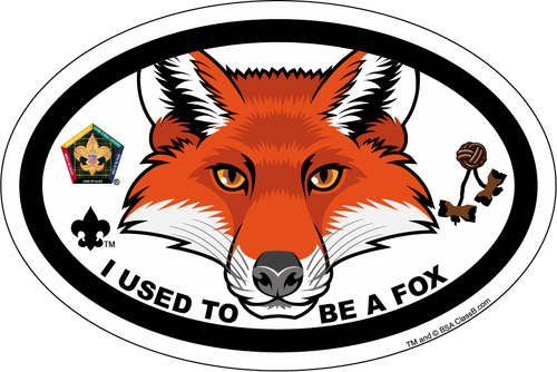 Image - Boy Scouts Of America (500x334)