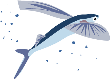 Pectoral Fins, Which Are Located On The Side Of The - Whale (400x400)