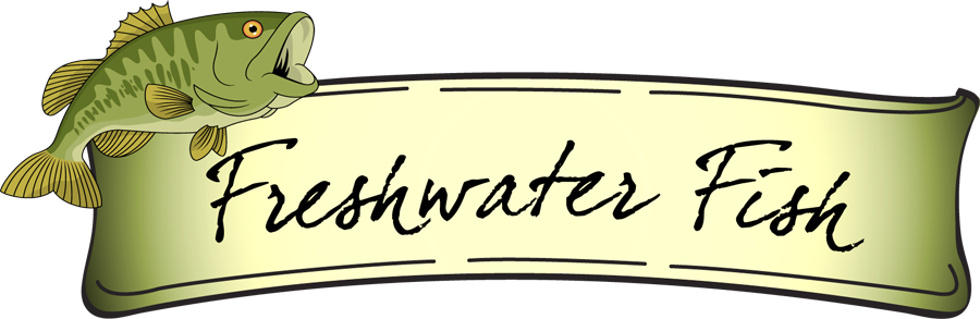 Bass Fishing Clipart - Fresh Water Fish Clipart (900x293)