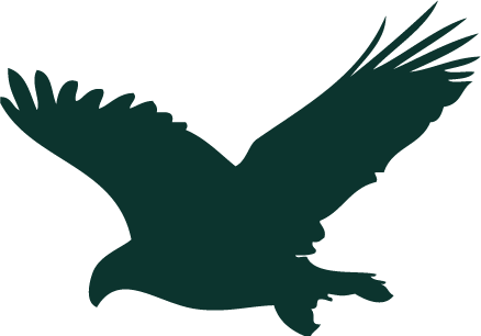 Analyze The Relationship Between The War Effort And - Isaiah 40 31 Eagle (438x306)