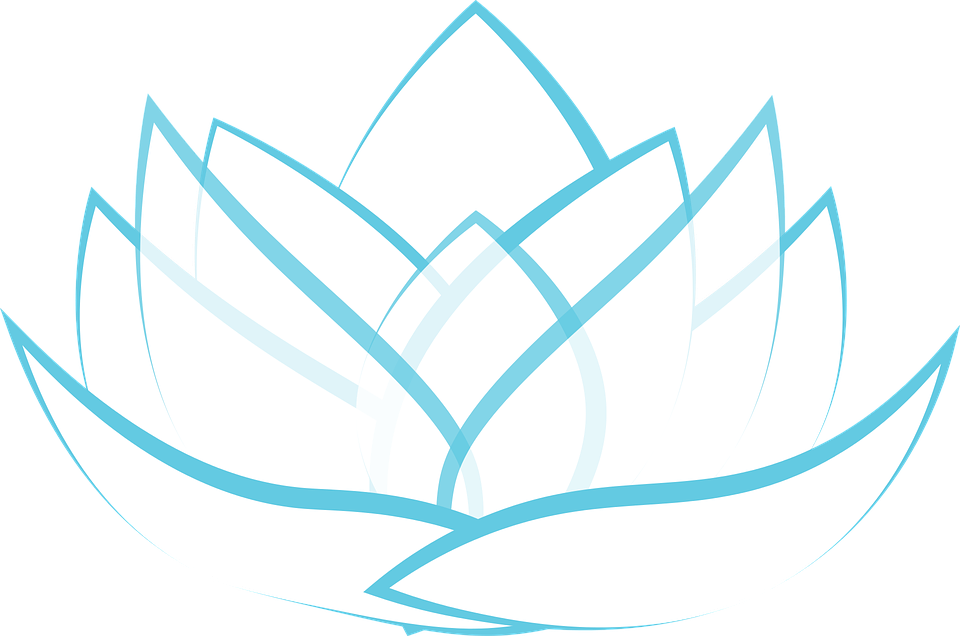 Lotus Transparent Blossom Graphic Illustra - Flor De Lotus Branca Png (960x636)