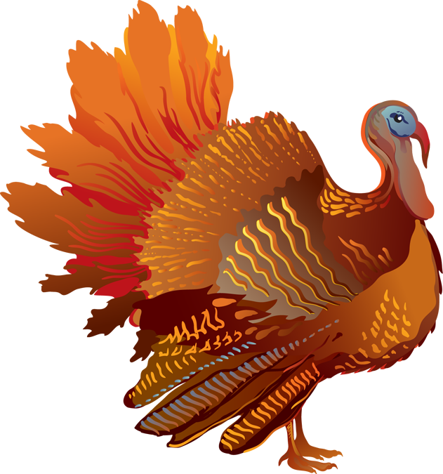 Turkey Clipart Mask - Thanksgiving Day Turkey Png (631x675)