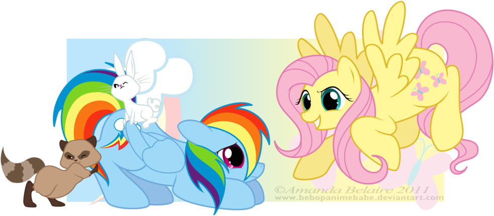 My Little Pony Friendship Is Magic Rainbow Dash And - Fluttershy (1024x460)