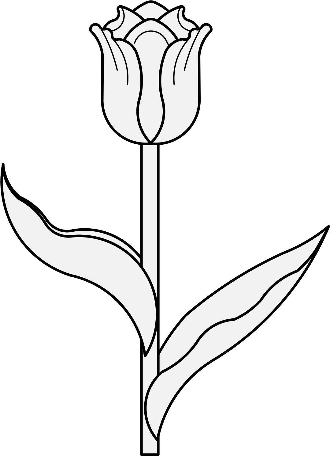 Download Free Photo Report - Tulip (1088x1497)