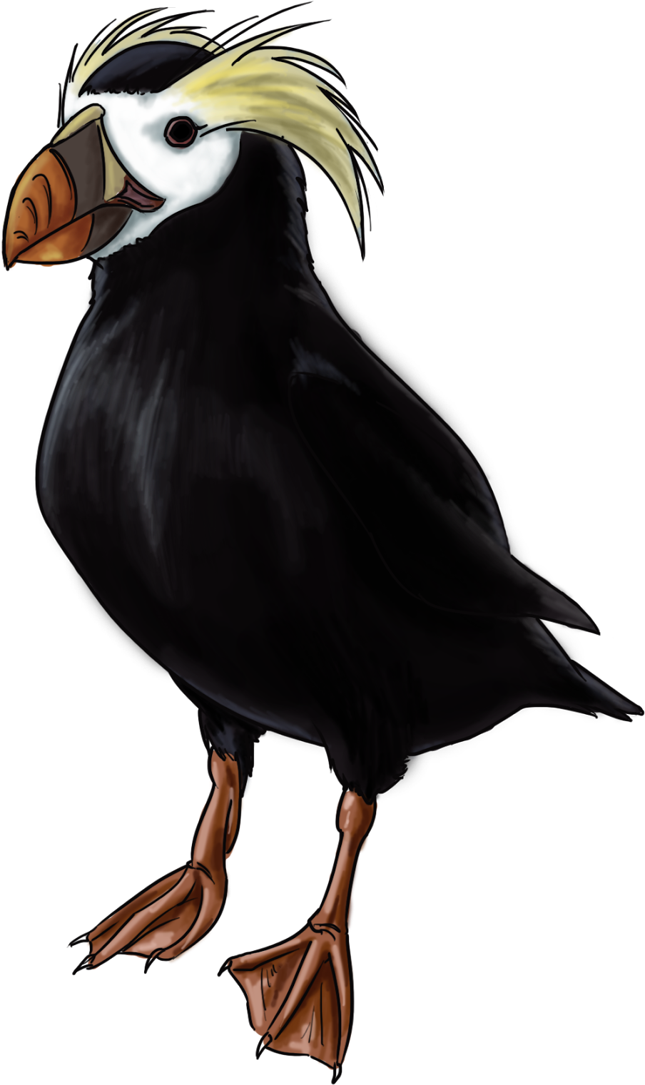 Alaska Bird Beak Art Pigeon Guillemot - Alaska Bird Beak Art Pigeon Guillemot (1023x1600)