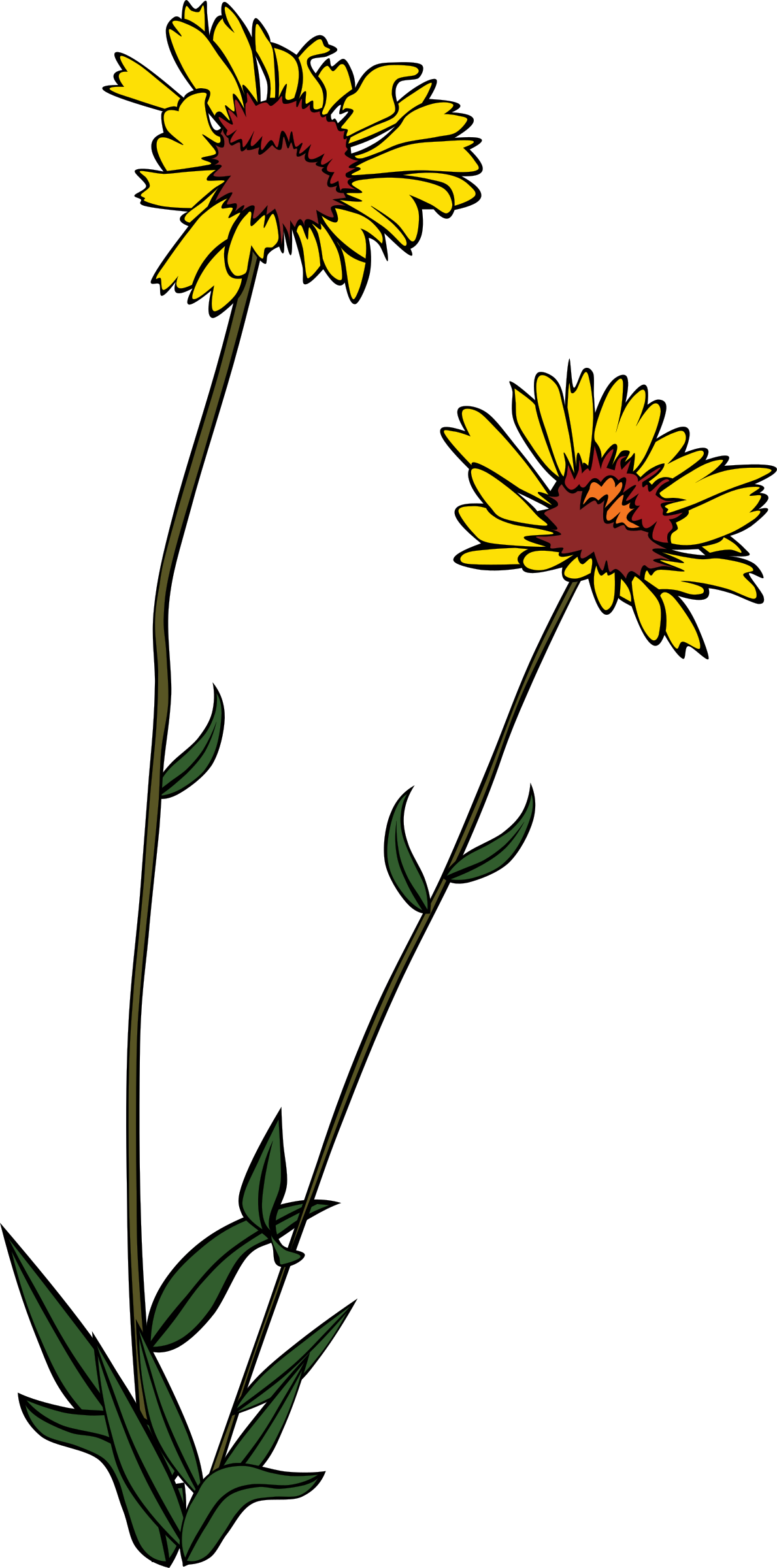 Wildflower Clip Art - Wildflower Clip Art (1189x2400)