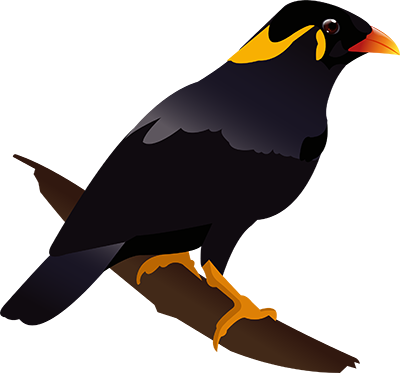 Download Image - Myna (400x373)