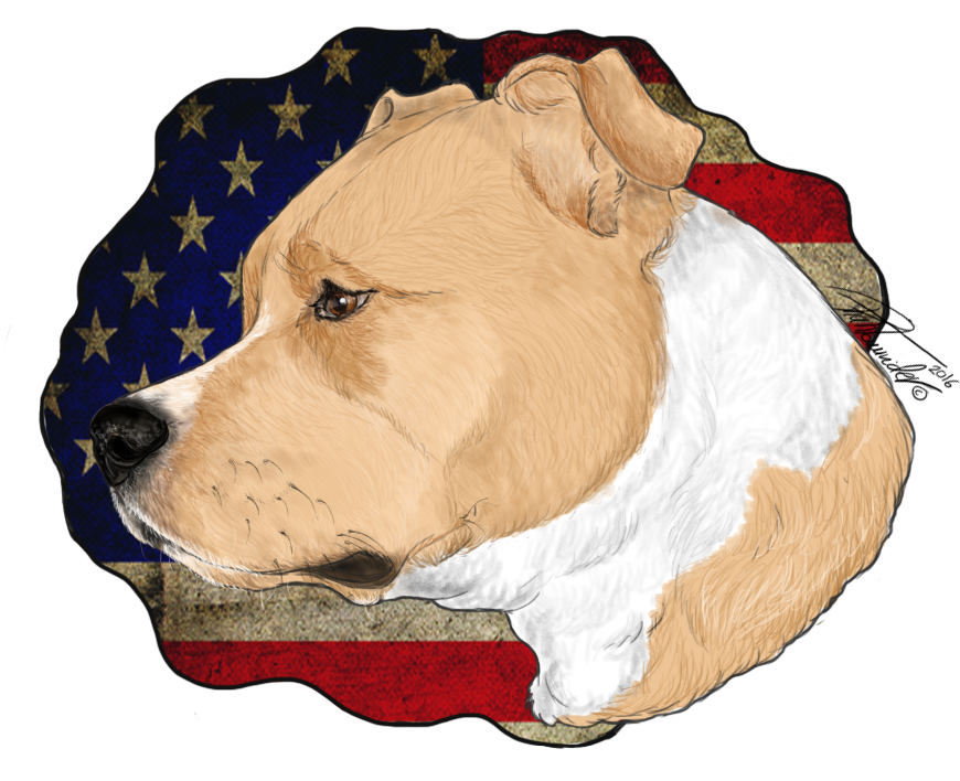 American Pitbull Terrier By Mynameisphantomrider - Cocker Spaniel (960x720)
