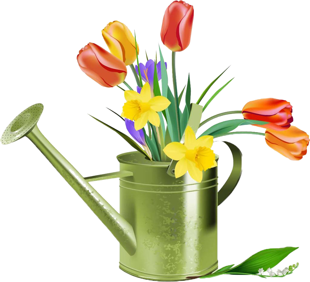 Tulip Flower Euclidean Vector Clip Art - Tulip Flower Euclidean Vector Clip Art (999x1007)