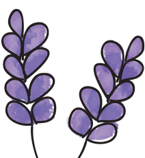 Onion Jam With Lavender - Spring Crocus (1280x249)