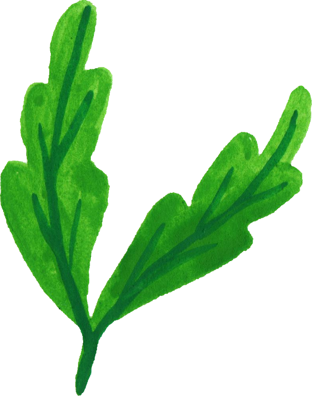 Free Download - Watercolour Leaf Png Clipart (608x772)