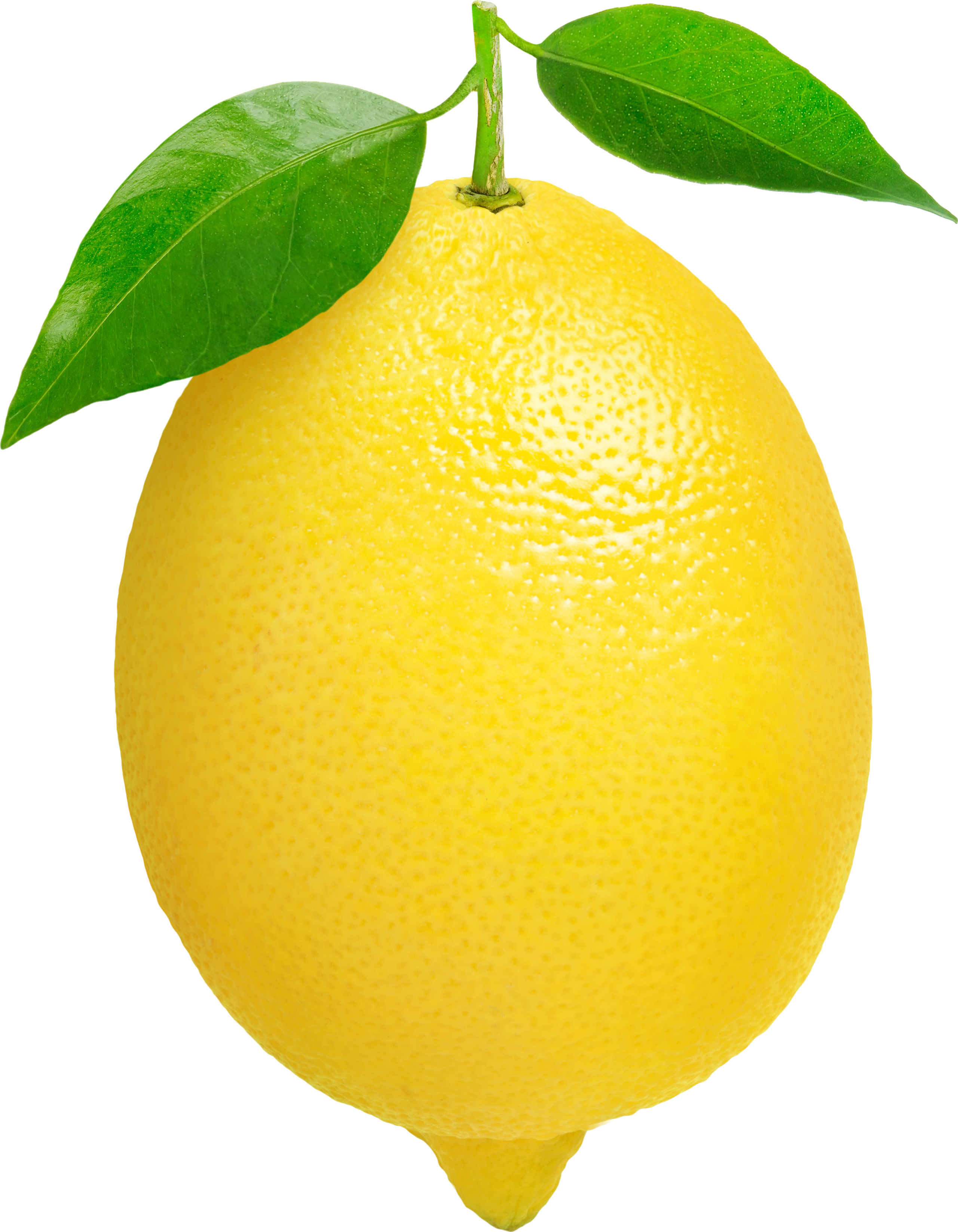 Lemon Clipart Transparent Background - Lemon Png (2561x3294)