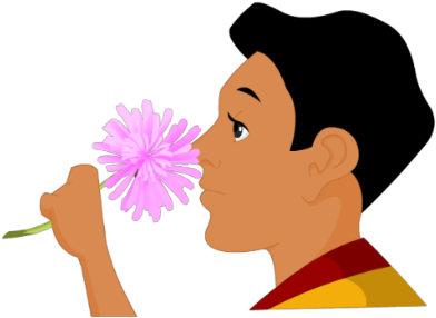 Boy Smelling Flower - We Smell With Our Nose (420x353)