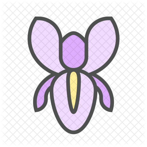 Flower, Iris, Blossom, Nature, Spring Icon - Flower (512x512)