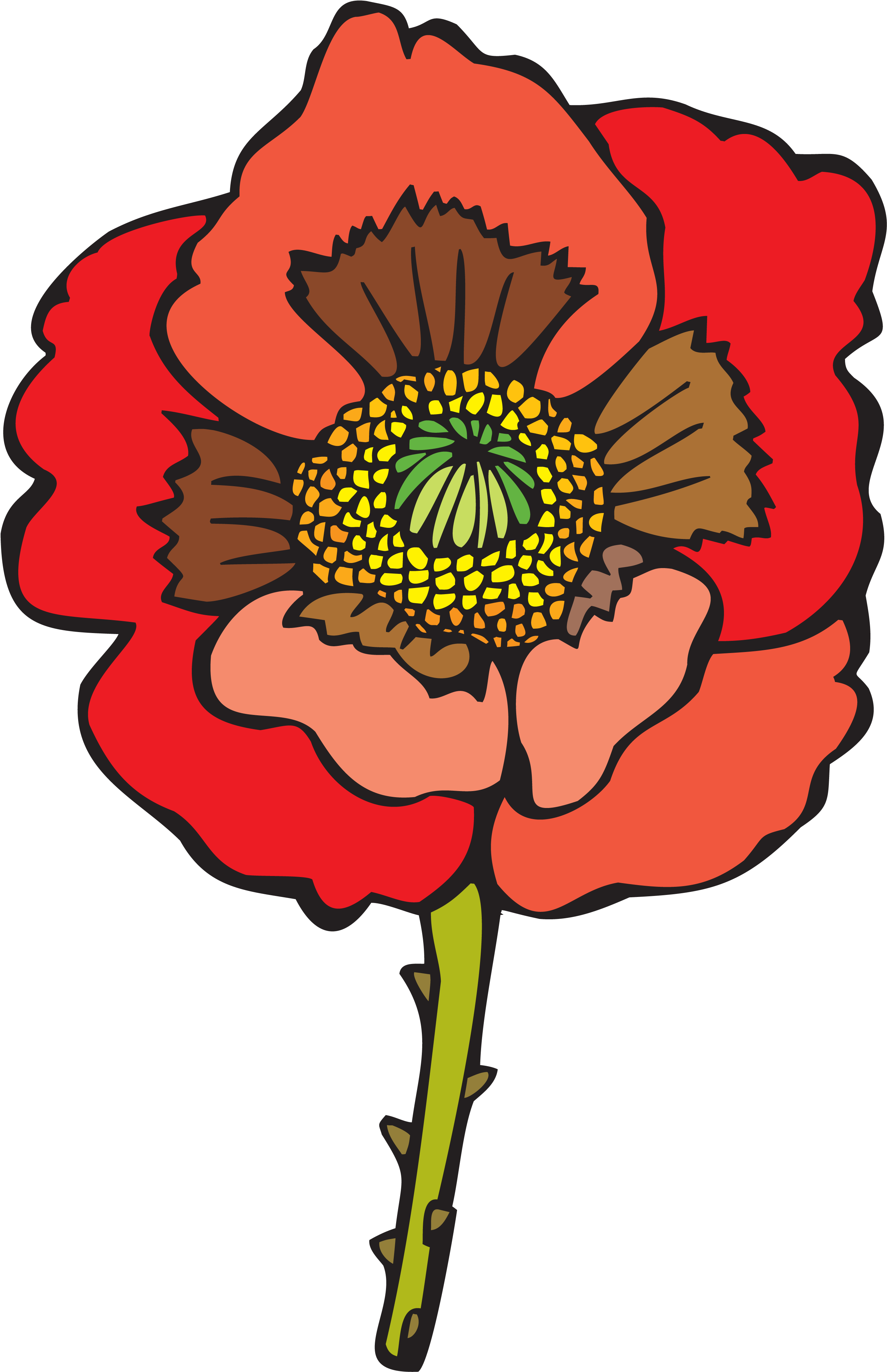 Flower Common Poppy Clip Art - Flower Common Poppy Clip Art (2799x4077)